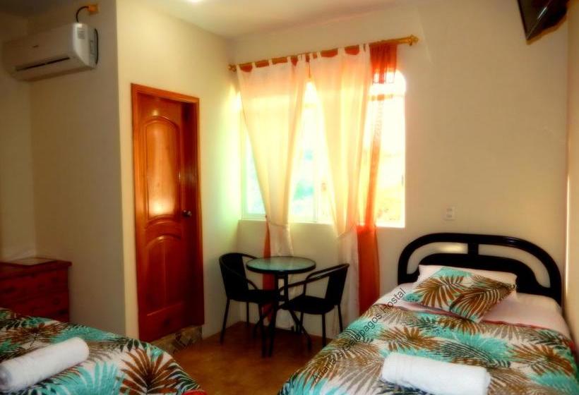 Hostel Ariana S Galapagos Hostal
