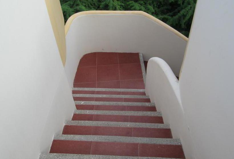 Hostel Ariana S Galapagos Hostal