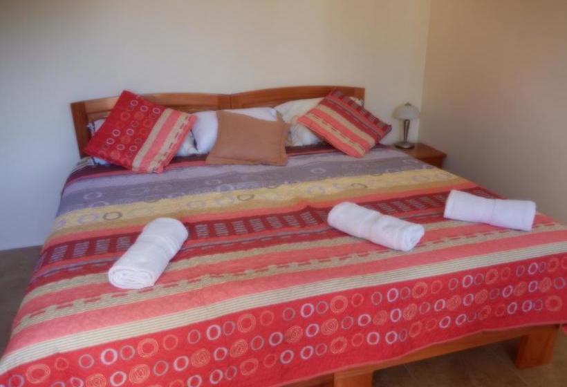 Hostel Ariana S Galapagos Hostal