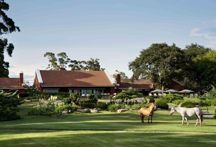 Bed and Breakfast Estancia La Estrella