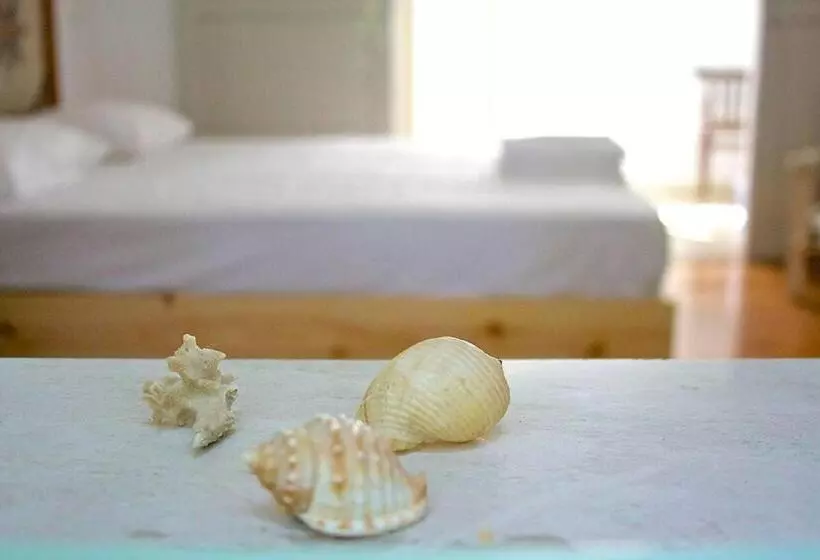 Himara Hostel