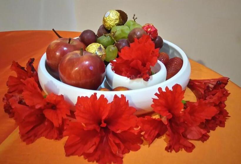 酒店 Galapagos Tortuga Bay