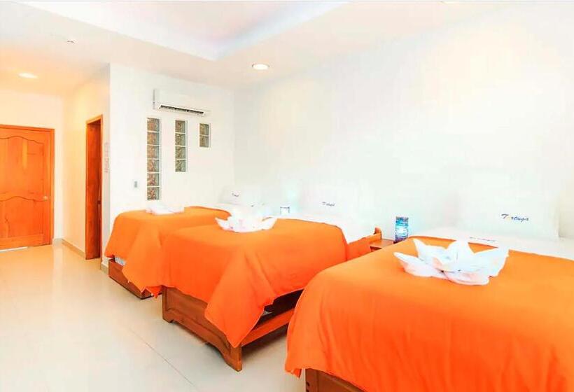 酒店 Galapagos Tortuga Bay