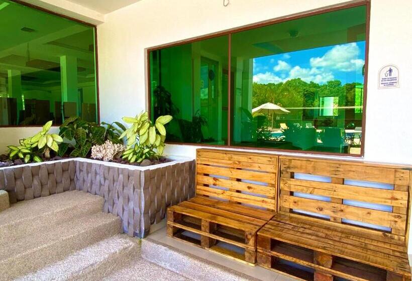 酒店 Galapagos Tortuga Bay