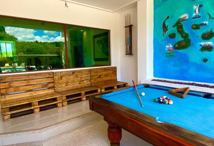 酒店 Galapagos Tortuga Bay