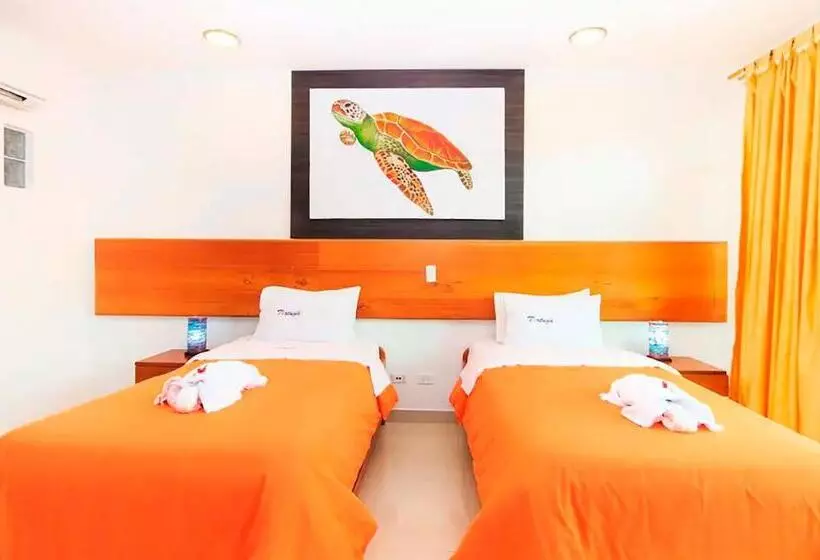 ホテル Galapagos Tortuga Bay