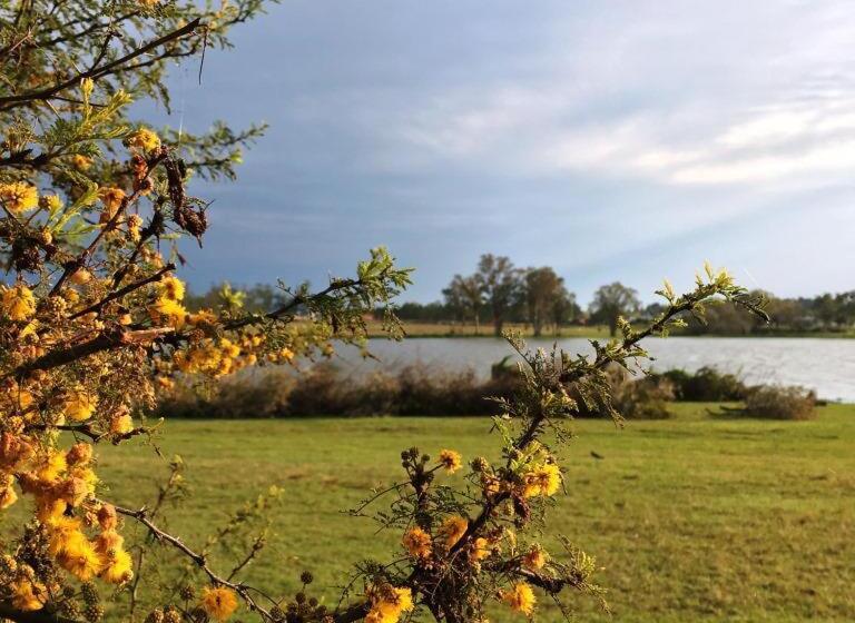 Hotelli Irupé Apart