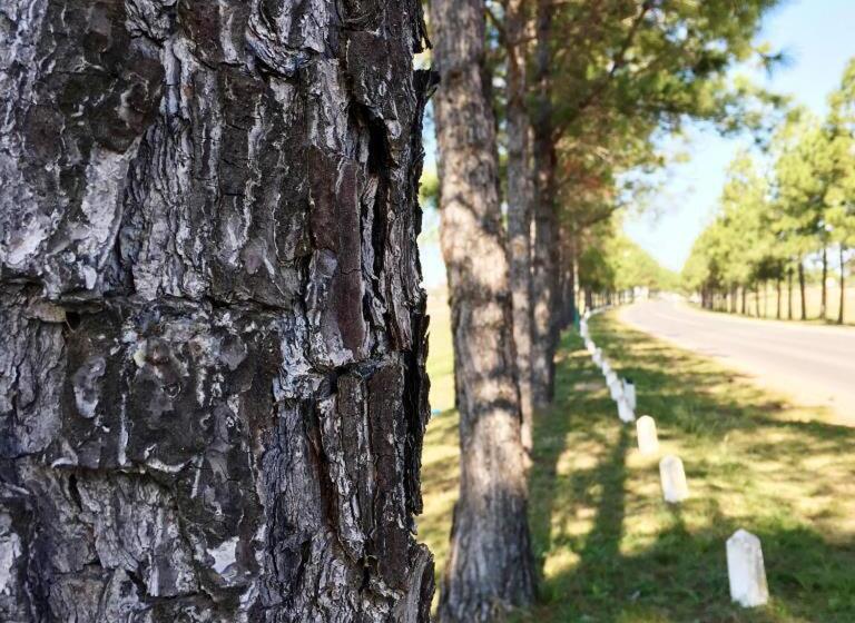 Hotelli Irupé Apart