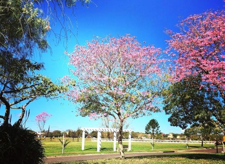 Hotelli Irupé Apart