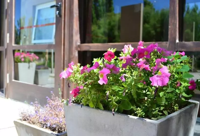 ホテル Terra Malal