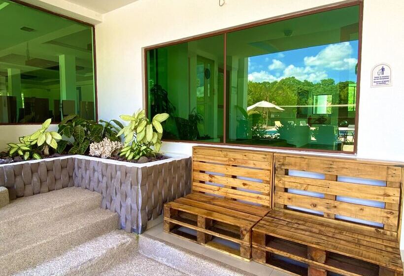 酒店 Galapagos Tortuga Bay