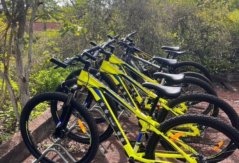 酒店 Galapagos Tortuga Bay