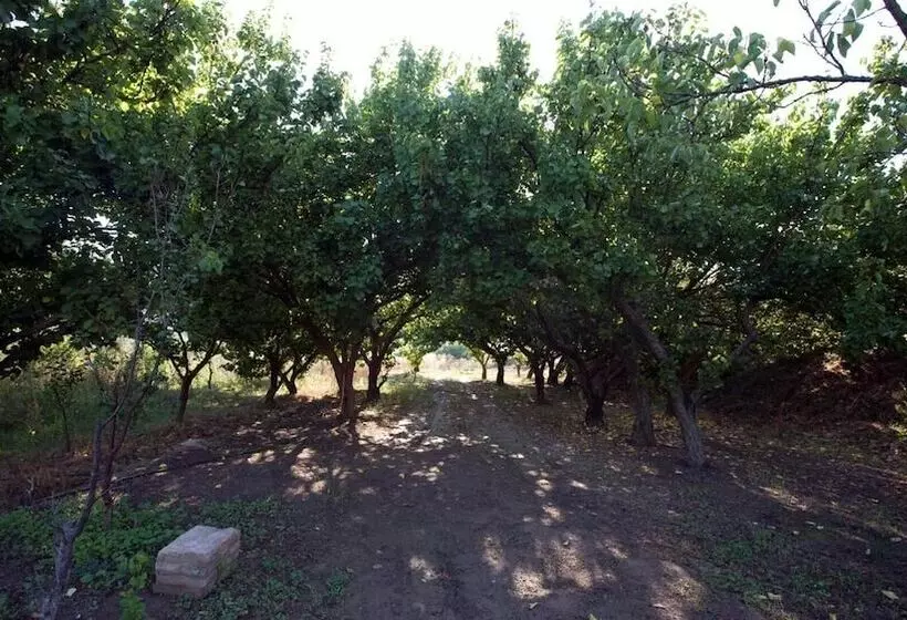 Hotelli Vilar Riu De Baix