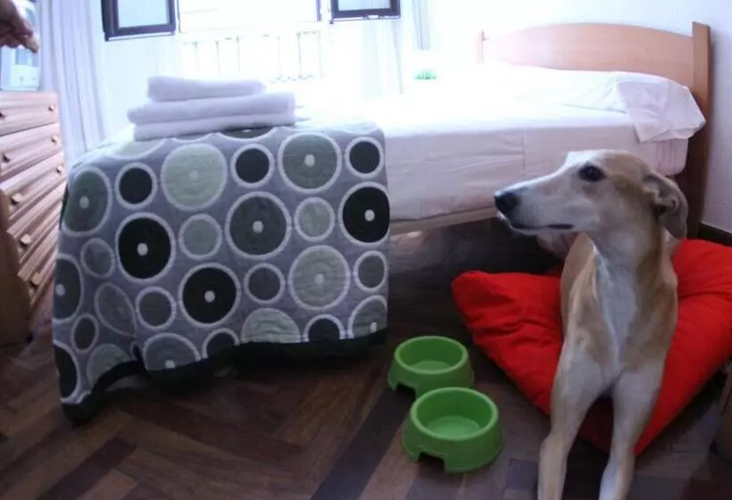 ホテル Zubia Urban Rooms