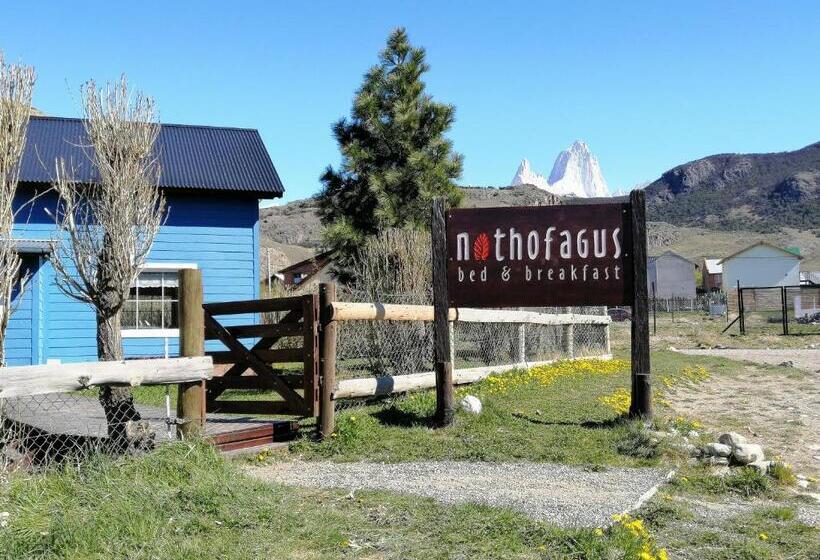 Nothofagus Bed & Breakfast