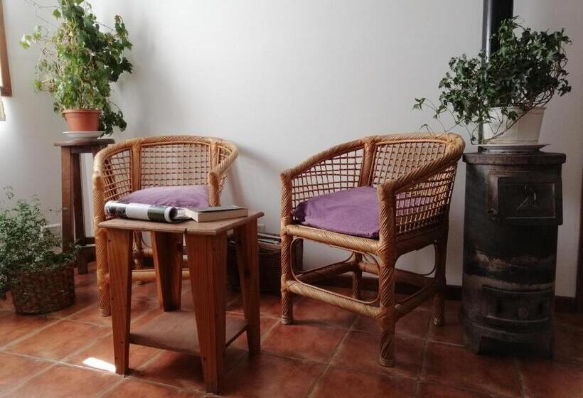 Nothofagus Bed & Breakfast