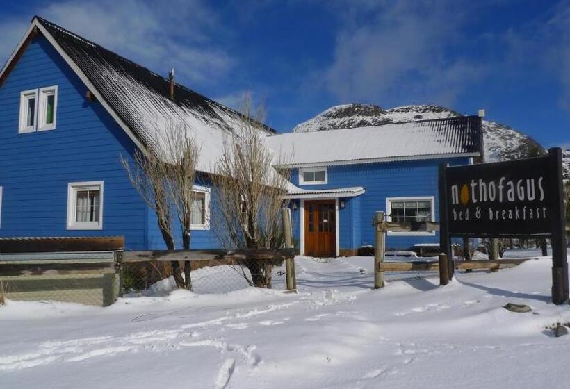 Nothofagus Bed & Breakfast
