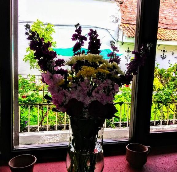 Szálló Casa Macondo Bed & Breakfast