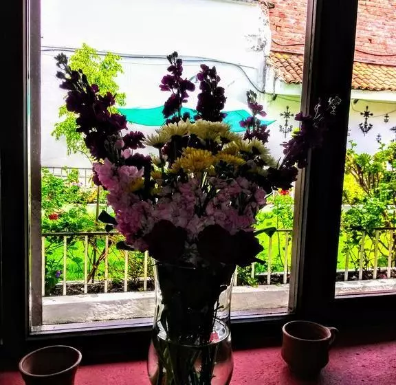 Hostel Casa Macondo Bed & Breakfast
