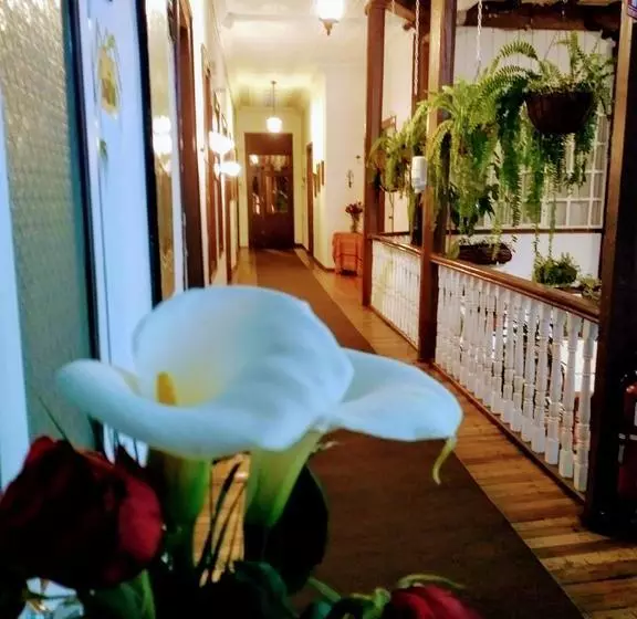 Hostel Casa Macondo Bed & Breakfast