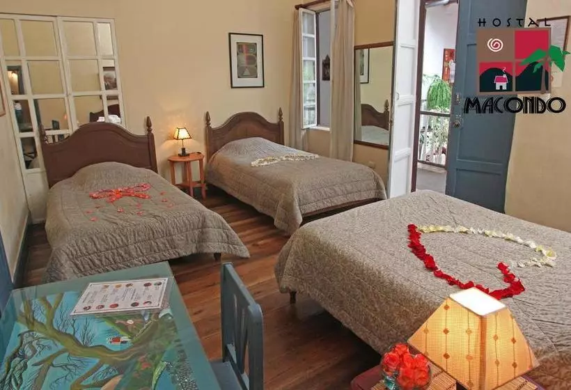 Hostel Casa Macondo Bed & Breakfast