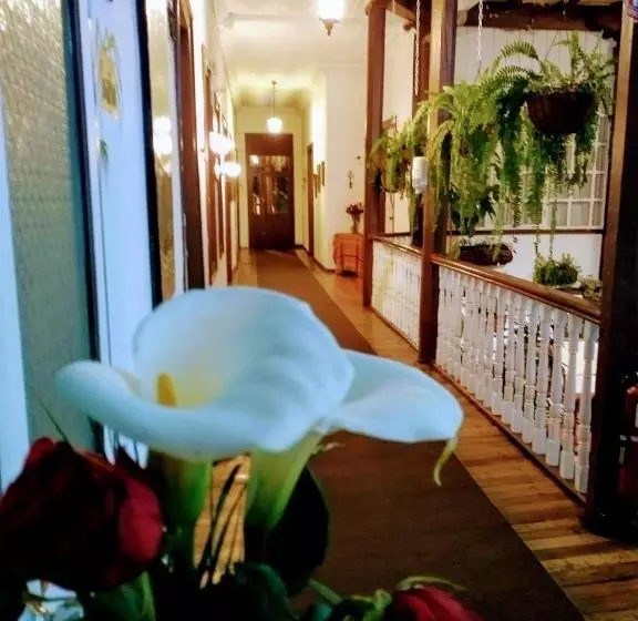 Hostel Casa Macondo Bed & Breakfast