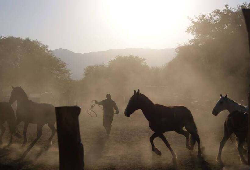 مبيت وإفطار La Vaca Tranquila