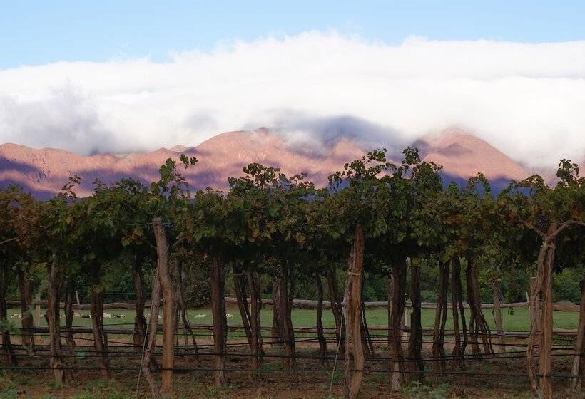 مبيت وإفطار La Vaca Tranquila