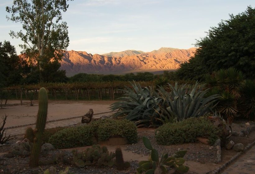 مبيت وإفطار La Vaca Tranquila