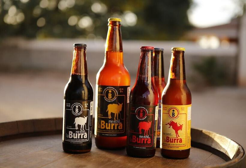 مبيت وإفطار La Vaca Tranquila