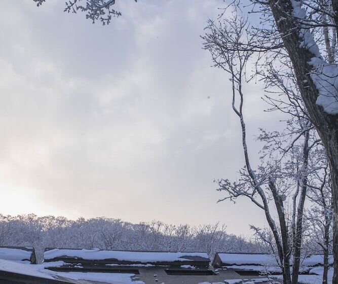 ריוקאן Zaborin