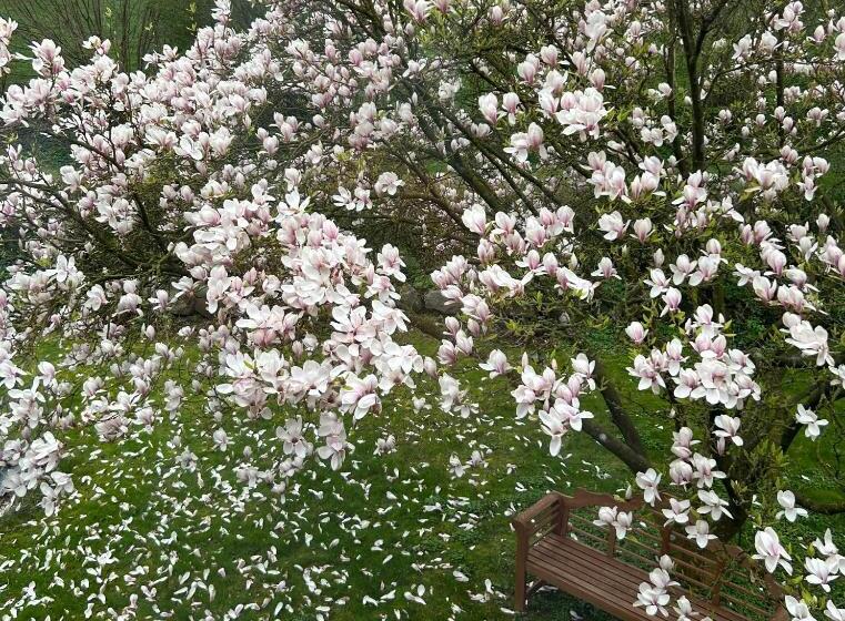 膳宿费 Ferien Und Freizeithof Engelau