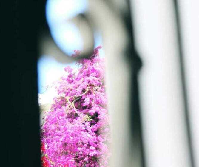 Резиденция Marika S Traditional House