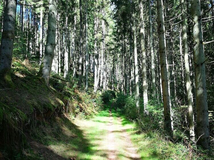 פנסיון Maison D Hôtes De Charme Ancien Moulin En Pleine Nature La Paulusmühle