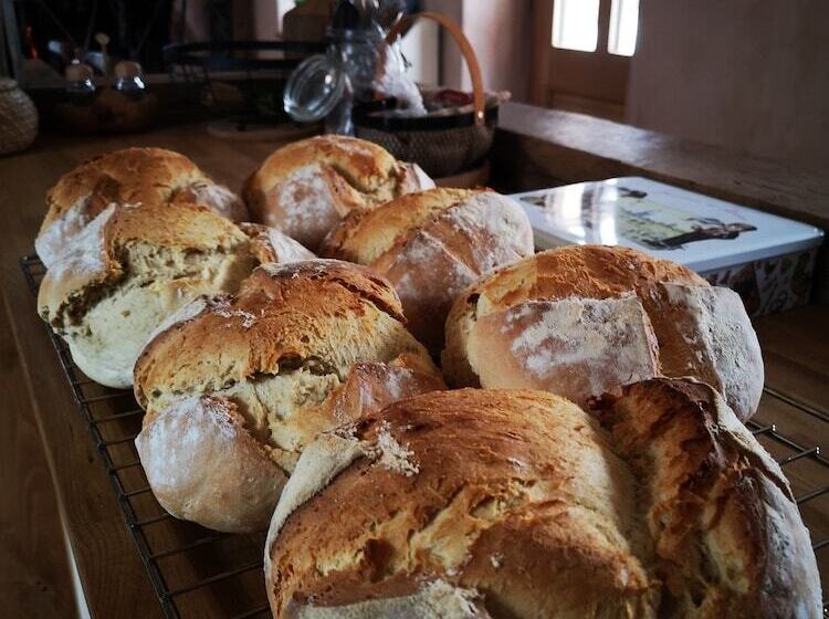 פנסיון Maison D Hôtes De Charme Ancien Moulin En Pleine Nature La Paulusmühle