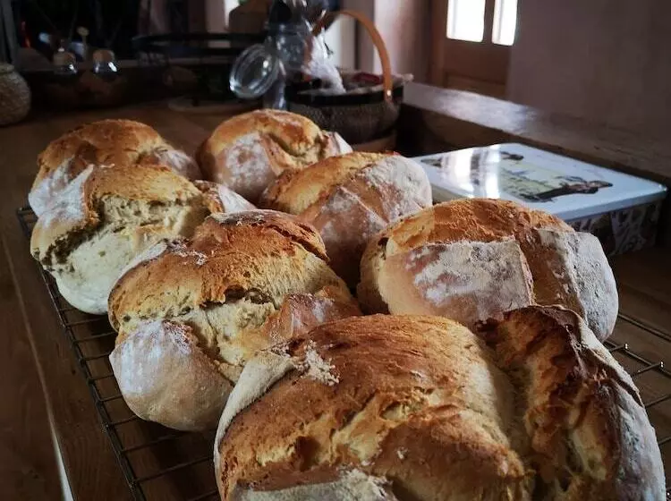 Majatalo Maison D Hôtes De Charme   Ancien Moulin En Pleine Nature   La Paulusmühle