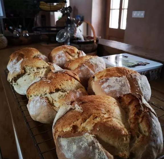 Majatalo Maison D Hôtes De Charme   Ancien Moulin En Pleine Nature   La Paulusmühle