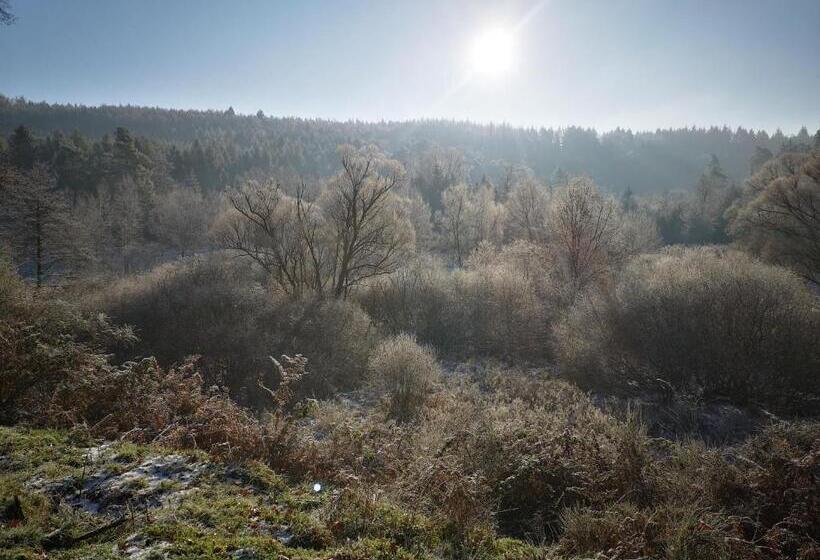 פנסיון Maison D Hôtes De Charme Ancien Moulin En Pleine Nature La Paulusmühle