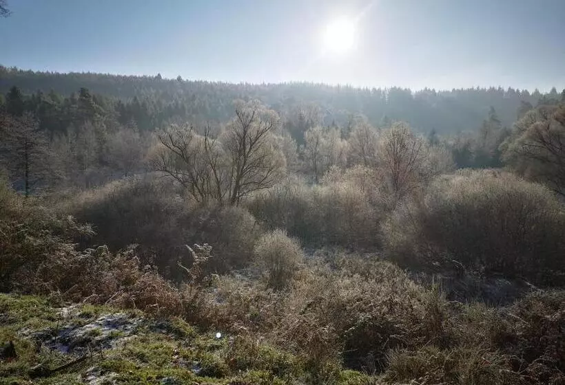 Majatalo Maison D Hôtes De Charme   Ancien Moulin En Pleine Nature   La Paulusmühle
