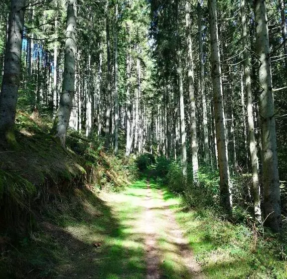 Majatalo Maison D Hôtes De Charme   Ancien Moulin En Pleine Nature   La Paulusmühle