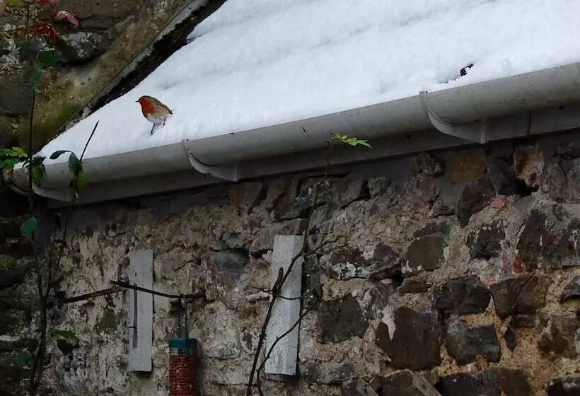 Residenssi Simple Luxury In Brecon Beacons Village House