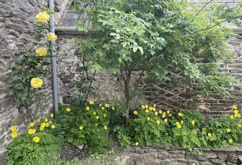 Residenssi Simple Luxury In Brecon Beacons Village House