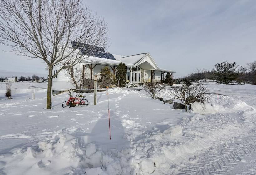 Bright Shipshewana Gem W/ Shuffleboard Table!