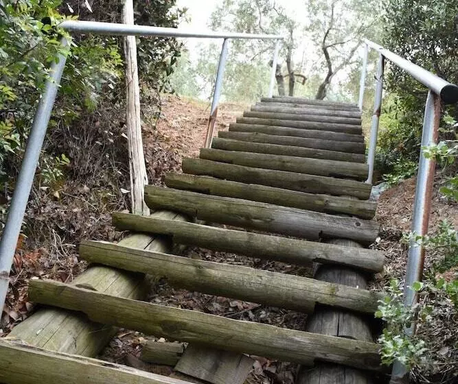 Goddesses Villa 2 In Nies