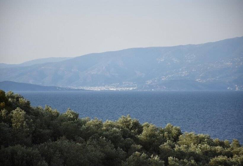 Goddesses Villa 2 In Nies