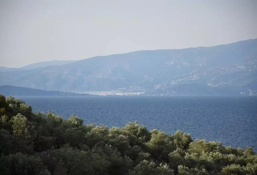 Goddesses Villa 2 In Nies