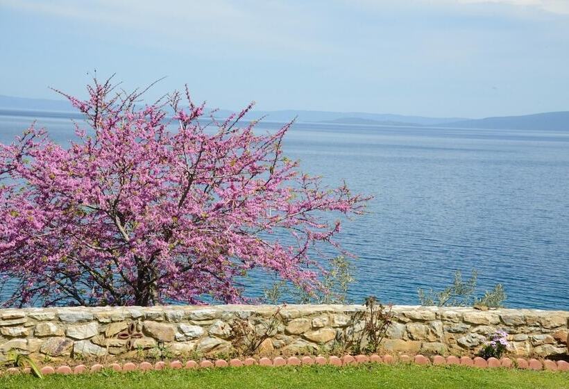 Goddesses Villa 2 In Nies