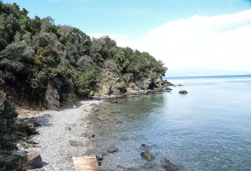 Goddesses Villa 2 In Nies