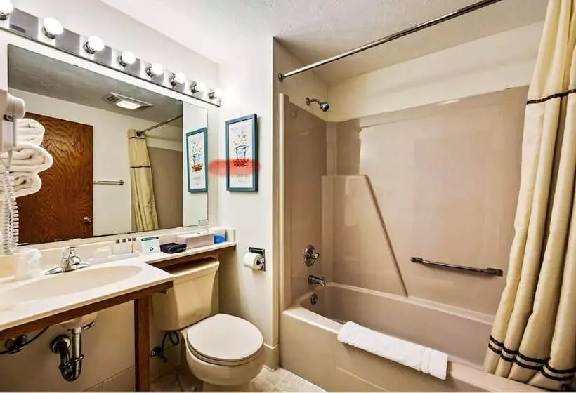 ホテル Downtown Inn