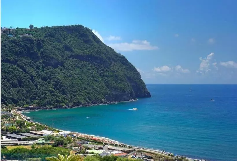 Majatalo Room In B&b   Standard Double Or Twin Room Overlooking Citara Bay